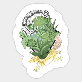 Geckos and Succulents Sticker